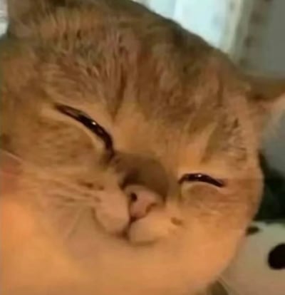 这是一张橘猫的面部特写照片，猫咪双眼眯成细缝，嘴巴微抿，呈现出放松且类似微笑的治愈表情。背景模糊，突出猫咪的面部细节，毛发纹理清晰可见，整体氛围温馨可爱。