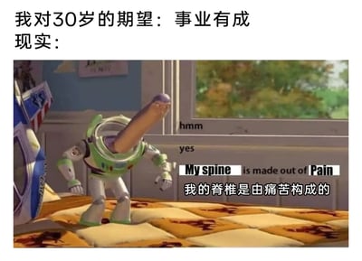 这是一张用于吐槽当代年轻人年龄焦虑与职场压力的二次创作图文内容，整体采用上下对比的结构：上方用文字写出人们对30岁的美好期望——事业有成；下方则是改编自《玩具总动员》中巴斯光年的截图，通过P图将巴斯光年的头部夸张拉长，搭配其僵硬弯腰的姿态，再配上中英文对照的文字“我的脊椎是由痛苦构成的”，以此来讽刺现实中很多人到了30岁，不仅没有实现事业有成的目标，反而因为长期的辛苦工作落下了脊椎病痛，身体被工作的痛苦所侵蚀，用幽默夸张的方式展现了期望与现实的巨大反差，精准戳中当代职场人的痛点，引发共鸣。
