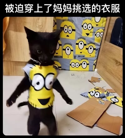 一只黑猫被迫穿上了妈妈挑选的黄色小黄人主题衣服，正站立在地面上，表情显得有些无奈。背景中可以看到印有小黄人图案的布料，地面上散落着撕碎的纸板，似乎是猫咪挣扎后留下的痕迹。图片上方配有文字“被迫穿上了妈妈挑选的衣服”，通过拟人化的方式将猫咪的处境类比为孩子被家长安排穿着的场景，充满幽默趣味。