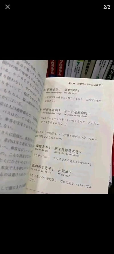 这是一张竖屏翻拍的书籍内页照片，页面属于一本面向日语学习者的中文口语学习资料的第4章，章节主题为“注意脏话！”。内容模拟了公交车上年轻男性因身体碰撞引发吵架的场景，将中文粗俗吵架用语、对应的日语翻译、中文汉语拼音进行对照排版，同时配有日语的脏话表达，展示了中文语境下冲突场景中的非正式口语，包含“拱什么拱！属猪的呀！”“操你大爷！瞎了狗眼是不是？”等粗俗对话内容，用于帮助日语学习者了解这类负面语境的中文表达。