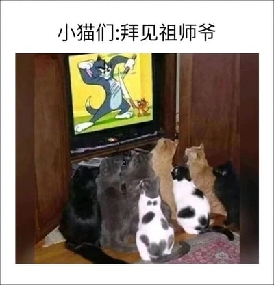 这是一张充满趣味的静态图片，画面中多只不同花色的真实猫咪正整齐地围坐在电视机前，抬头专注地盯着屏幕。电视里播放的是经典动画《猫和老鼠》的片段，屏幕中的汤姆猫双手举起，摆出威风凛凛的姿势，杰瑞猫则站在它的脚边。图片上方配有文字“小猫们:拜见祖师爷”，以拟人的玩梗方式，将动画里的经典猫角色汤姆猫调侃成现实猫咪的“祖师爷”，结合猫咪专注看电视的真实神态，营造出诙谐搞笑的反差感，把宠物的日常瞬间和经典动画结合，充满了趣味性。