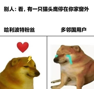 这是一张左右对比的梗图，上方配文“别人：看，有一只猫头鹰停在你家窗外”，分别展示了两个群体的不同反应：
左侧是哈利波特粉丝的反应，使用带有爱心和闪电符号的Doge表情包，表现出兴奋、憧憬的心情——在《哈利波特》的设定中，猫头鹰是巫师的信使，会带来魔法世界的信件或消息，对粉丝来说是充满惊喜的象征；
右侧是多邻国用户的反应，使用大哭的Doge表情包，表现出崩溃、恐惧的情绪——多邻国的吉祥物是猫头鹰，它的出现通常意味着要提醒用户完成语言学习任务，被用户调侃为“催债式学习提醒”，因此看到猫头鹰会产生抗拒、崩溃的反应。
整张图通过同一事物在不同群体中的认知反差制造笑点，十分贴合两个群体的共同记忆。
