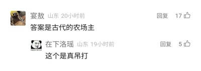 这是一张社交媒体评论区的截图，展示了两条来自山东地区的用户评论。第一条评论由用户“宴敖”发布于20小时前，头像是一只戴着黄色头套的动物，内容为“答案是古代的农场主”，该评论获得17个点赞，右侧设有回复按钮；第二条评论由用户“在下洛瑶”发布于19小时前，头像是带有“你害怕点，我不正常”文字的熊猫表情包，内容为“这个是真吊打”，获得5个点赞，同样配有回复按钮。两条评论呈现出用户在某个话题下的互动，后者对前者的观点表示高度认可，认为其给出的答案具有碾压性的说服力。