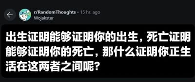 这是一张Reddit社区r/RandomThoughts的帖子截图，由用户Wojakster在15小时前发布。帖子内容以白色文字显示在黑色背景上，提出了一个引人深思的问题：“出生证明能够证明你的出生，死亡证明能够证明你的死亡，那什么证明你正生活在这两者之间呢？” 引发关于存在与证明的哲学思考。