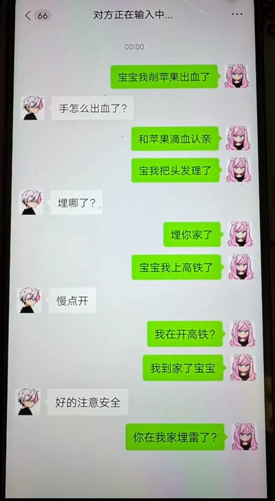 这是一张手机聊天界面截图，展示了一段充满谐音梗的趣味对话。绿框用户（粉发动漫头像）多次使用双关语与白框用户（白发动漫头像）互动，例如“削苹果出血”对应“和苹果滴血认亲”，“理发”被故意曲解为“埋你家了”，“上高铁”被反问“我在开高铁？”，最后以“到家”延伸出“你在我家埋雷了？”的玩笑，整体风格轻松搞笑，充满情侣间的俏皮互动。