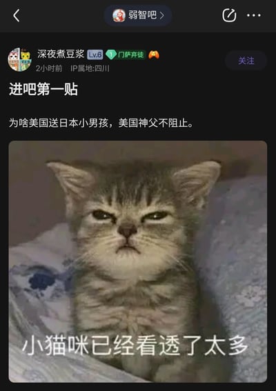 这是百度贴吧“弱智吧”用户“深夜煮豆浆”发布的进吧第一帖，楼主提出一个结合历史事件与网络梗的无厘头问题：“为啥美国送日本小男孩，美国神父不阻止”，其中“小男孩”指代二战时期美国投放到日本广岛的原子弹“小男孩”，而“美国神父不阻止”则是玩了相关的荒诞梗，将严肃的历史事件用戏谑的方式包装提问。帖子搭配了一张网络热门的“看透一切小猫”表情包，小猫眉头紧皱、眼神嫌弃，配文“小猫咪已经看透了太多”，用猫咪的神态来呼应提问的荒诞感，传递出无语、看透“梗中梗”的情绪，整体内容风格搞笑荒诞，符合弱智吧的内容调性。