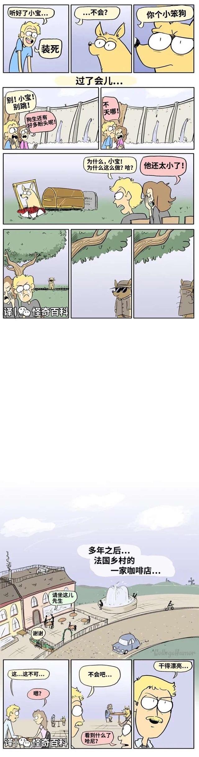CollegeHumor原创搞笑漫画