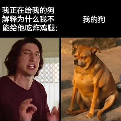 这是一张左右对比梗图，左侧是一位男性认真解释的画面，右侧是一只表情不屑的棕色小狗。上方文字写着'我正在给我的狗解释为什么我不能给他吃炸鸡腿：'，右侧小狗上方标注'我的狗'。通过人类认真解释与动物不屑表情的对比，幽默展现了宠物主人试图与宠物进行理性沟通的徒劳与滑稽。