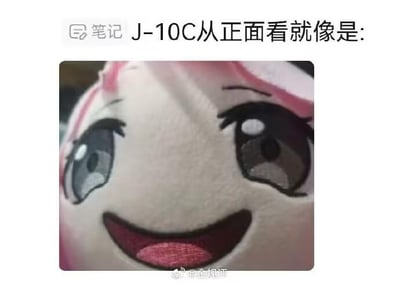 这是一张趣味玩梗的图文混排图，上方配有文字“J-10C从正面看就像是:”，下方展示了一个粉色头发的毛绒玩具的脸部特写，该玩具有着大尺寸的卡通风格眼睛，嘴巴咧开呈现出开心的笑容。网友通过这张图做趣味类比，调侃歼-10C战斗机的正面外形轮廓与这个毛绒玩具的脸部神态、造型相似，属于军事爱好者圈子里的轻松玩梗内容，仅为外形上的趣味关联，无谐音或双关梗。