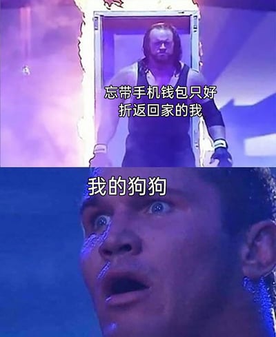 这是一张上下拼接的搞笑养宠梗图，上半部分截取了WWE传奇摔角手送葬者从棺材中走出的经典镜头，配文标注为“忘带手机钱包只好折返回家的我”，利用原镜头的压迫感营造出主人突然回家的既视感；下半部分是另一位WWE选手双眼圆睁、满脸震惊的特写，配文标注为“我的狗狗”，用夸张的惊讶表情来放大狗狗看到出门后又突然折返的主人时，那种意外又极度兴奋的反应，生动还原了养宠人生活中的有趣瞬间，通过反差感制造出搞笑效果。