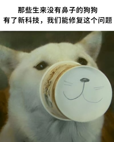图片上方有文字'那些生来没有鼻子的狗狗 有了新科技，我们能修复这个问题'，下方是一只白色的狗，它正用一个画着鼻子和嘴巴的纸杯遮住自己的脸，形成一种幽默的视觉效果，暗示这就是所谓的'新科技修复方案'。