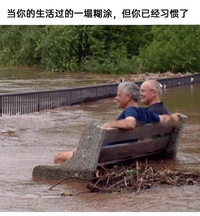 这是一张带有调侃性质的网络梗图，画面展示了在洪水灾害中，两位头发花白的老年男性坐在被浑浊洪水淹没大半的长椅上，周围还有被洪水冲来的枯枝杂物，背景是被水淹没的步道和茂密绿植。两人神态放松，面带笑意，仿佛完全没有被恶劣的环境影响。图片上方配文“当你的生活过的一塌糊涂，但你已经习惯了”，用夸张的真实场景，比喻人们在糟糕、不如意的生活处境里，逐渐适应后不再对困境感到痛苦，甚至能以平常心对待的状态，既调侃了生活的无奈，也传递出一种在困境中随遇而安的乐观心态，容易引发身处生活压力中的网友共鸣。