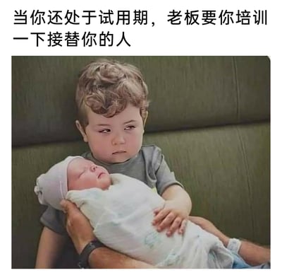 这是一张职场类梗图，上方配文“当你还处于试用期，老板要你培训一下接替你的人”，图中是一个神情委屈落寞、眼神幽怨的小男孩抱着安睡的新生儿，小男孩的神态完美共情了处于试用期却被要求培训接替者的打工人——自己还未通过试用期站稳脚跟，就要面临被取代的处境，满是无奈、心酸与不甘，用孩童的画面类比职场的尴尬不合理场景，生动戳中职场人的痛点，引发共鸣。