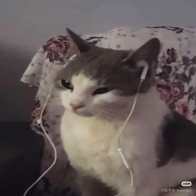 这是一张真实拍摄的照片，画面里一只白棕相间的猫咪戴着白色有线耳机，半眯着眼睛，表情慵懒又带着点傲娇，安静地待在带有复古花纹的布料前，看起来仿佛正沉浸在音乐的世界里。这张图常被用作表情包，用来表达享受独处、沉浸在自己的小世界中的惬意情绪，图中没有双关、谐音梗或暗示内容。