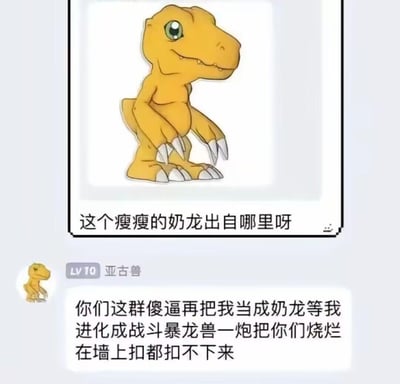 该图为聊天记录式梗图，上方展示黄色恐龙角色图片，配文“这个瘦瘦的奶龙出自哪里呀”，将亚古兽误认作“奶龙”。下方以“亚古兽 (LV 10)”身份回应，愤怒表示“你们这群傻逼再把我当成奶龙等我进化成战斗暴龙兽一炮把你们烧烂在墙上扣都扣不下来”。通过角色误认制造笑点，亚古兽的愤怒回应与可爱外形形成反差萌，带有强烈的讽刺和搞笑效果。