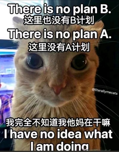 这是一张文字加注类的猫咪表情包，主体是一只浅橘色的猫咪，它圆睁双眼，眼神里满是慌张与无措，面部神态紧绷，传递出茫然慌乱的情绪。图片搭配了中英双语的文字，上方是“There is no plan B. 这里也没有B计划”“There is no plan A. 这里没有A计划”，下方是“我完全不知道我他妈在干嘛”“I have no idea what I am doing”，精准地表达出人们在面对事情毫无准备、没有任何规划时，那种迷茫、慌乱又自我吐槽的心态，非常适合用来吐槽职场工作、日常生活中毫无头绪、手足无措的时刻。