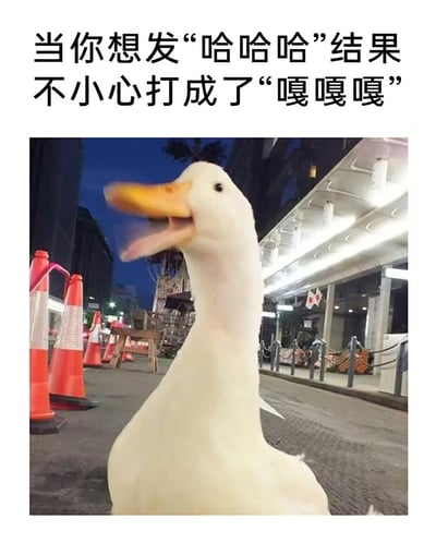 这是一张搞笑网络表情包，图片上方配有中文文字“当你想发“哈哈哈”结果不小心打成了“嘎嘎嘎””，图片主体是一只位于夜晚街边的白色鸭子，鸭子的嘴巴张开呈动态模糊效果，看起来像是正在欢快地发出鸭叫，正好呼应了“嘎嘎嘎”的文字内容，生动幽默地表现出打字时不小心打错字后，结果巧合贴合鸭子形象的好笑效果，还原了很多人使用输入法时经常遇到的打错字的有趣日常经历。