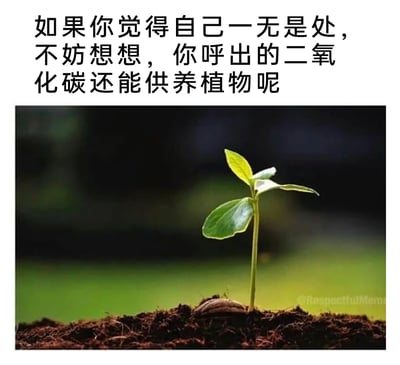 这是一张图文结合的静态治愈系图片，上方用黑色简体中文写着安慰性语句：“如果你觉得自己一无是处，不妨想想，你呼出的二氧化碳还能供养植物呢”，下方是一张实拍的植物幼苗图：一株嫩绿的幼苗从深色土壤中破土而出，幼苗底部还带着种子的外壳，背景是模糊的暖绿色调，营造出温暖充满生机的氛围。图片右下角带有水印“@RespectfulMeme”。整张图通过一个简单的生物常识，引导处于自我否定情绪中的人发现自身的微小价值，传递出接纳自我、乐观积极的治愈感，帮助缓解焦虑情绪。