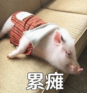 累瘫的小猪表情包