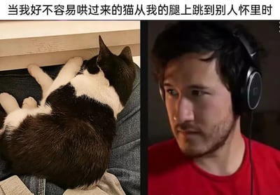 这张左右对比图生动展现了猫咪主人的无奈瞬间。左侧画面中，一只黑白相间的猫咪正舒适地趴在人的腿上，四肢伸展，尾巴自然垂下，显得十分惬意。右侧画面则是一位戴着黑色耳机的男子，他穿着红色上衣，表情中带着明显的惊讶和一丝受伤，眼神斜视，完美诠释了被心爱的宠物“背叛”时的复杂心情。

图片上方的文字“当我好不容易哄过来的猫从我的腿上跳到别人怀里时”精准概括了这种宠物主人常遇到的扎心场景，通过前后对比形成强烈的戏剧效果和幽默感。