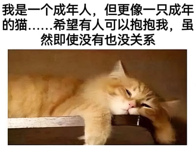 这是一张图文结合的梗图，上方是黑色文字："我是一个成年人，但更像一只成年的猫……希望有人可以抱抱我，虽然即使没有也没关系"。下方是一只橘猫趴在木板上休息的照片，猫咪表情慵懒，眼神中带着一丝疲惫和放松。图片通过将成年人的情感需求与猫的习性进行类比，幽默又温柔地表达了现代人渴望关爱却又故作坚强的矛盾心理。