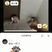 这是一张抖音平台的社交媒体截图，画面主体是一只猫咪躲在门后的角落，身体蜷缩，神态显得警惕又紧张，一只手从画面右侧伸出，似乎要逗弄这只猫咪。截图左上角是发布者账号“有小蛋”的标识，下方热门评论区里，用户“有毛”评论“房主一开门：”，结合画面场景，让网友脑补猫咪偷偷在家“干坏事”被主人开门抓包的搞笑画面，充满趣味和脑补空间，引发宠物爱好者的共鸣。