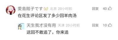 这是一张横版的社交媒体评论区静态截图，展示了两条发布于20小时前的用户评论。第一条评论来自IP定位为北京的用户“愛島館子です”，其头像是一个粉色头发的卡通人物，评论内容为“在花生评论区发了多少回羊肉汤”，该评论获得了40个点赞；第二条评论来自IP定位为天津的用户“天生我才没有用”，头像是一个简笔画风格的人物，评论内容为“这回不敢追了，你来追”，获得了10个点赞。两条评论看起来是用户之间围绕某个特定网络梗或之前的互动内容展开的趣味对话，氛围轻松。