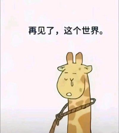 暂无描述