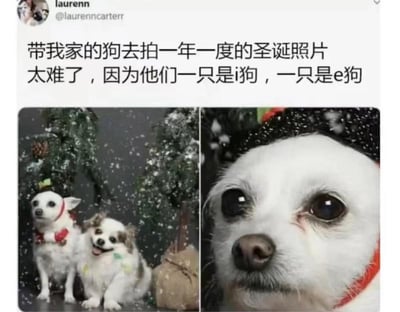 社交媒体用户@laurenncarterr分享了一组自家狗狗的圣诞照片，并配文：“带我家的狗去拍一年一度的圣诞照片太难了，因为他们一只是i狗，一只是e狗”。图片分为左右两部分：左侧是两只狗狗在圣诞树前的合影，其中一只（i狗）站姿拘谨、表情平静，另一只（e狗）则咧嘴微笑、显得十分兴奋；右侧是i狗的特写，眼神中透露出些许紧张和不安。该梗图巧妙借用MBTI人格测试中的“i人/e人”概念，将狗狗在拍照时的不同表现拟人化，幽默展现了内向与外向性格在社交场景（此处为拍照）中的典型差异，引发网友共鸣。
