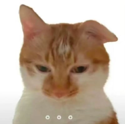 一张橘白相间的猫咪特写照片，猫咪表情严肃，一只耳朵竖起，另一只耳朵自然下垂。背景为纯白色，底部有三个白色圆点。猫咪眼神专注，似乎在认真观察前方。