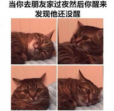 图片上方配有文字“当你去朋友家过夜然后你醒来发现他还没醒”，下方是四宫格形式的虎斑猫照片。第一张图中猫咪闭眼熟睡，姿态放松；第二张猫咪睁眼，眼神带着一丝困惑望向一侧；第三张猫咪正面直视前方，表情茫然；第四张猫咪将头偏向一侧，耳朵微垂，呈现出局促不安的样子。通过猫咪不同阶段的表情变化，生动模拟了人们在朋友家过夜先醒来时的尴尬、不知所措的心理状态，整体风格幽默诙谐。