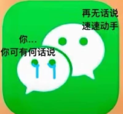 这是一张对微信官方图标进行二次创作的搞笑梗图，将微信的两个对话气泡拟人化：下方气泡的圆点被修改为流泪的模样，搭配文字「你... 你可有何话说」，模拟出被质问的委屈状态；上方气泡则对应文字「再无话说 速速动手」，呈现出强势回应的姿态，用熟悉的APP图标构建审讯对峙的场景，通过反差感制造搞笑效果，适合用来在聊天时调侃、“质问”好友。