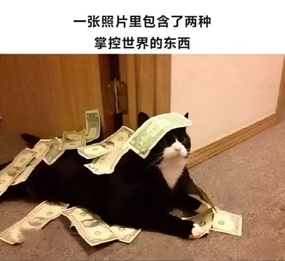 图片上方有文字'一张照片里包含了两种掌控世界的东西'，下方是一只黑白相间的猫躺在地毯上，全身被多张美元钞票覆盖，部分钞票甚至搭在猫的头上。猫咪表情平静，仿佛对身上的钞票毫不在意。图片通过幽默的方式暗示猫咪和金钱是'掌控世界的两种东西'，带有戏谑和搞笑的意味。