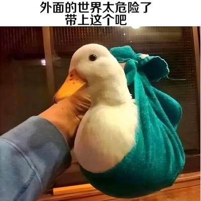 图片中一只白色鸭子（黄色喙部）被一只手轻轻托着，身上裹着一块蓝色的布料，仿佛被细心保护着。图片顶部配有文字“外面的世界太危险了 带上这个吧”，整体营造出一种可爱又略带幽默的氛围，像是在以拟人化的方式表达对小鸭子的保护欲。