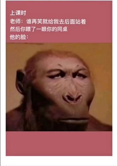 这是一张校园主题的搞笑梗图，上方文字构建了上课的场景：老师警告学生谁再笑就去后面站着，当你看向同桌时，看到的是一张被修改成努力憋笑的拟人化猴子的脸。这张扭曲憋笑的脸完美还原了上课想笑又不敢笑的状态，非常贴近学生时代的真实经历，引发共鸣，制造出滑稽的笑点。