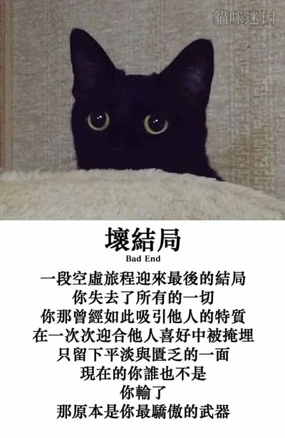 这是一张图文结合的猫咪迷因图，画面上半部分是一只纯黑色猫咪躲在米白色毛绒物体后方，仅露出头部，睁着圆溜溜的眼睛，神情茫然又失落；下半部分是醒目的标题“壞結局（Bad End）”，以及一段充满反思的扎心文案，文案讲述了一个人在漫长的人生旅程中，因不断迎合他人喜好而逐渐失去自身独特的特质，最终变得平淡匮乏，失去了自我，迎来了空虚的“坏结局”。整张图用猫咪失落的神情烘托出文案传达的沮丧、空虚情绪，以贴近生活的内容引发读者对自我价值、自我坚守的思考，容易让有类似经历的人产生共鸣。