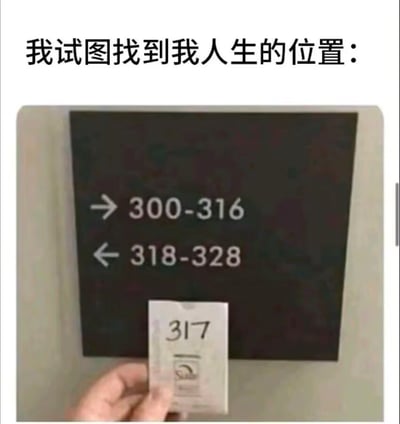 图片上方配有文字'我试图找到我人生的位置：'，下方是一个指示牌，牌上左侧箭头指向'318-328'，右侧箭头指向'300-316'，中间恰好缺失了'317'这个数字。一只手正拿着一张写有'317'的纸条，似乎想将其填补到指示牌的空缺处。图片通过数字序列的缺失与试图填补的动作，巧妙隐喻了人们在生活中寻找自我定位却发现自己处于'空缺'状态的无奈与迷茫。