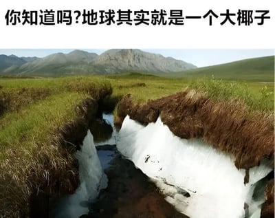 图片上方有黑色文字“你知道吗?地球其实就是一个大椰子”，下方是一张自然景观照片。照片中展现了一片广阔的绿色草地，远处有连绵的山脉。草地中间有一道明显的裂缝，裂缝两侧的草皮下露出白色的物质，整体视觉上类似椰子被劈开后露出的白色椰肉，从而形成“地球是大椰子”的幽默比喻。