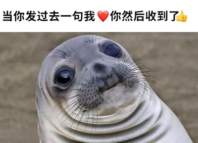 图片上方有文字“当你发过去一句我❤️你然后收到了👍”，下方是一只表情困惑的海豹特写。海豹有着大大的黑眼睛和胡须，表情看起来有些茫然和不知所措，完美呼应了文字描述的尴尬情境。