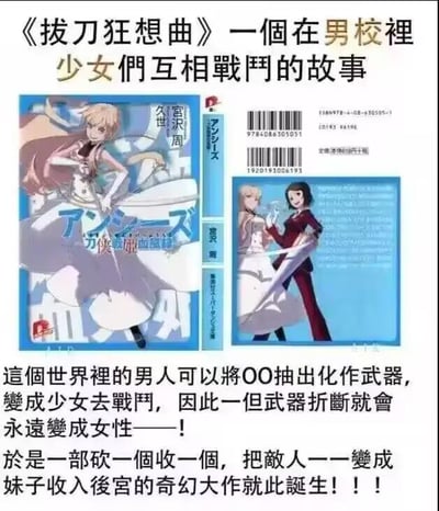 这是一张图文混排的恶搞梗图，上方展示了虚构轻小说《拔刀狂想曲》的封面与封底：封面是一位金发持武器的少女，封底是两位持武器的少女；下方是文字介绍，设定了一个荒诞的男校战斗世界观：这个世界里的男人可以将隐晦指代男性器官的“OO”抽出化作武器，变身为少女进行战斗，一旦武器折断，就会永远变成女性。基于这个设定，作品就成了“砍一个收一个，把敌人一一变成妹子收入后宫”的奇幻故事。
这里玩了低俗暗示的谐音梗，用“OO”隐晦指代男性器官，将战斗与“收后宫”的ACG常见元素结合，打造出荒诞搞笑的脑洞设定。