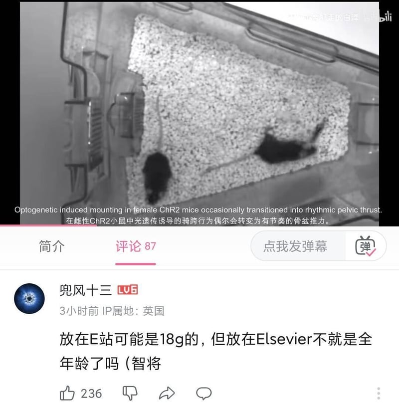 真实动物（科研实验）