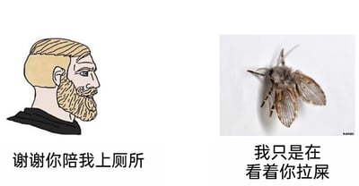 这是一张多图拼接的静态搞笑梗图，左侧为一幅卡通插画，描绘了一个有着浅金色短发和浓密络腮胡的男性，他以侧脸姿态呈现，面无表情；右侧为一张原始拍摄的真实照片，主体是一只停在白色平面上的蛾蠓（厕所常见的小飞虫）。图中为两个主体分别配上了拟人化的对话：卡通男子配文“谢谢你陪我上厕所”，将厕所里的小飞虫主观臆断为陪伴自己的存在；而蛾蠓的配文“我只是在看着你拉屎”则直白地打破了这种温情的想象，用反差感制造出幽默效果，调侃了人们在上厕所时遇到这类小飞虫的日常场景，把人类的善意投射与昆虫的客观存在形成对比，引发共鸣。