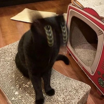 一只黑猫坐在铺着碎屑的猫抓板上，旁边放着一个红色复古电视机造型的猫窝。猫咪的眼睛被P成了巨大的、类似螺旋状的绿色图案，看起来正在快速旋转，营造出一种滑稽又夸张的视觉效果，整体画面充满趣味性。