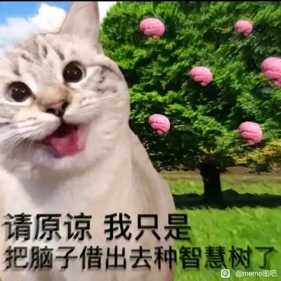 这是一张经过P图改编的静态搞笑表情包，画面主体是一只浅灰色带花纹的猫咪，它睁着圆溜溜的大眼睛，吐着舌头，表情看起来呆傻又滑稽。猫咪身后是一棵枝繁叶茂的大树，树上结出的并非普通果实，而是多个粉色的人脑图案。图片下方配有黑色文字：“请原谅 我只是把脑子借出去种智慧树了”，用充满脑洞的幽默方式，将“没脑子、犯傻、记性差”的状态具象化，通过猫咪的傻气表情和荒诞的“种智慧树”设定，调侃自己或他人出现迷糊、智商不在线的情况，整体风格搞笑又接地气，很适合用来自我调侃或者回应他人的吐槽。