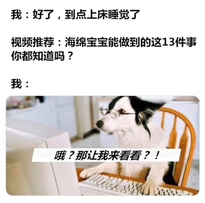 这张梗图精准还原了当代人睡前的真实日常：本来已经下定决心到点上床睡觉，结果看到带有悬念的「海绵宝宝能做到的这13件事你都知道吗？」这类视频推荐，瞬间好奇心发作，立刻放弃睡觉计划，就像图里戴眼镜的狗狗一样，凑到电脑前准备一探究竟，戳中了很多人睡前被网络内容“勾住”的共鸣点，十分搞笑。
