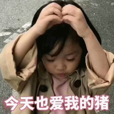权律二比心萌图：今天也爱我的猪
