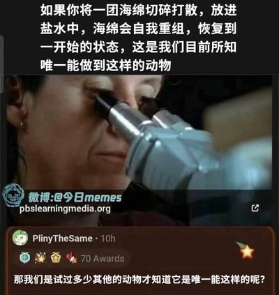 图片上方写着冷知识：如果你把一团海绵切碎，放进盐水里，海绵会自我重组，恢复到原来的样子。下方有一条用户评论，用一种暗黑幽默提问：我们试过多少其他的动物才知道只有海绵能这样？极具反讽意味。整体有强烈的好奇与黑色幽默气质。

没有明显的谐音、双关梗，但评论带有明显暗示：科学实验往往无法避免血腥或残酷尝试。评论与知识结合，营造出一种“科学探索的阴暗面”气氛。
