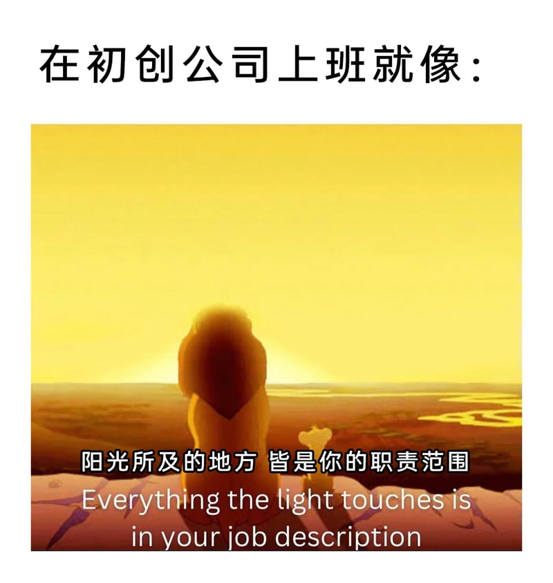 辛巴