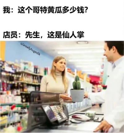 这是一张经过P图改编的图文混排搞笑梗图，画面下方是超市收银台的真实场景照片，一男一女分别作为顾客和店员互动，顾客手中的物品被替换成了一盆仙人掌；画面上方配有文字对话，顾客将这盆仙人掌误认成“哥特黄瓜”并询问价格，店员微笑纠正这是仙人掌。整个场景的笑点来源于顾客对物品的离谱认知错位，将外形带刺、形态修长的仙人掌错看成风格另类的“哥特黄瓜”，通过这种不符合常理的错误认知制造出轻松幽默的效果。