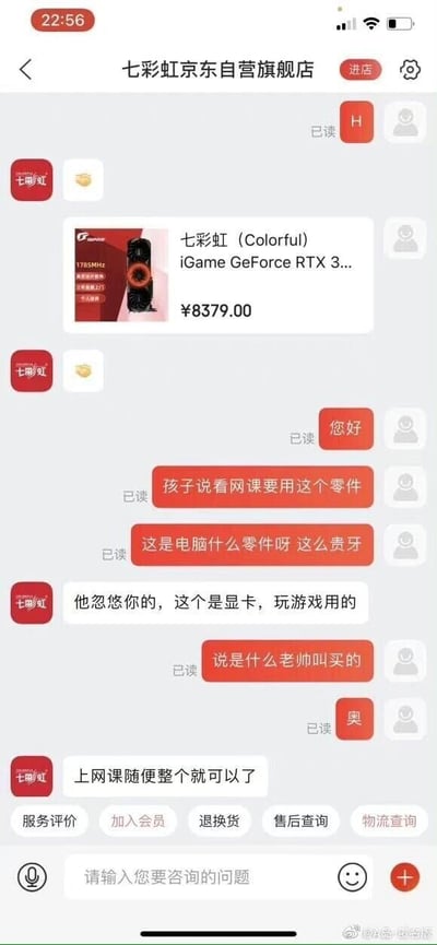 这是一张竖屏的京东七彩虹自营旗舰店客服聊天界面截图，界面顶部显示店铺名称，时间为22:56。聊天中，家长向客服发送了一款售价8379元的七彩虹iGame GeForce RTX系列显卡的商品图，称孩子告知该零件是上网课所需，还声称是老师要求购买的，疑惑这个昂贵的零件是什么。客服直接拆穿孩子的谎言，说明这是一款用于玩游戏的高端显卡，同时表示上网课根本不需要这么好的显卡，普通的就足够。整个对话生动展现了孩子试图蒙骗家长购买高端显卡来玩游戏的小闹剧，客服的直白回复也十分接地气，戳破了孩子的小心思。